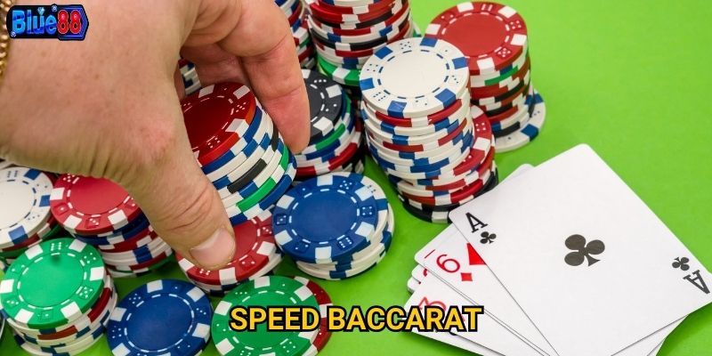 Speed Baccarat