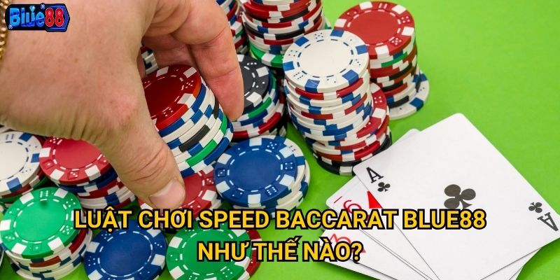 Luật chơi Speed Baccarat Blue88 như thế nào?