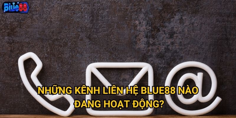 Những kênh liên hệ Blue88 nào đang hoạt động?
