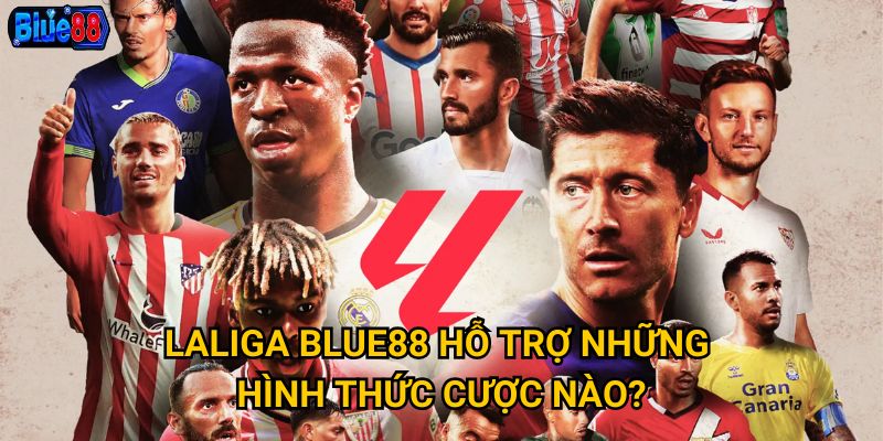 Laliga Blue88 hỗ trợ những hình thức cược nào?