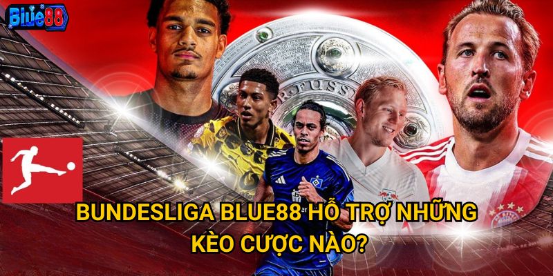 Bundesliga Blue88 hỗ trợ những kèo cược nào?