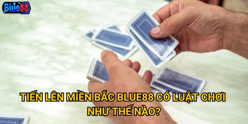 Tiến lên miền bắc Blue88 có luật chơi như thế nào?