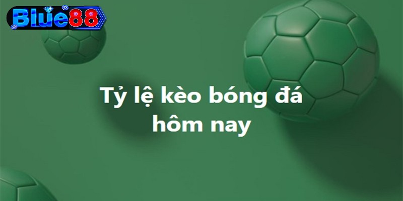 Trang cập nhật những tỷ lệ cược thú vị và nhận định từ cao thủ